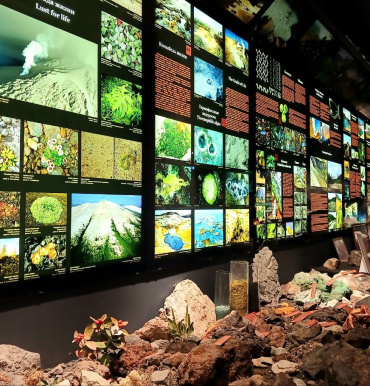 Не теряемся!