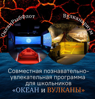 Можно ли за один день познакомиться с двумя великими явлениями Камчатки: океаном и вулканами?