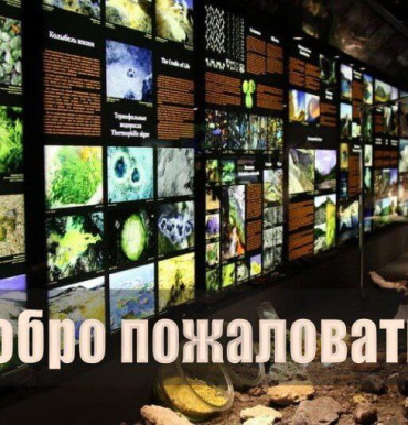 Друзья, рады сообщить, что с 15 февраля музей работает по своему расписанию: