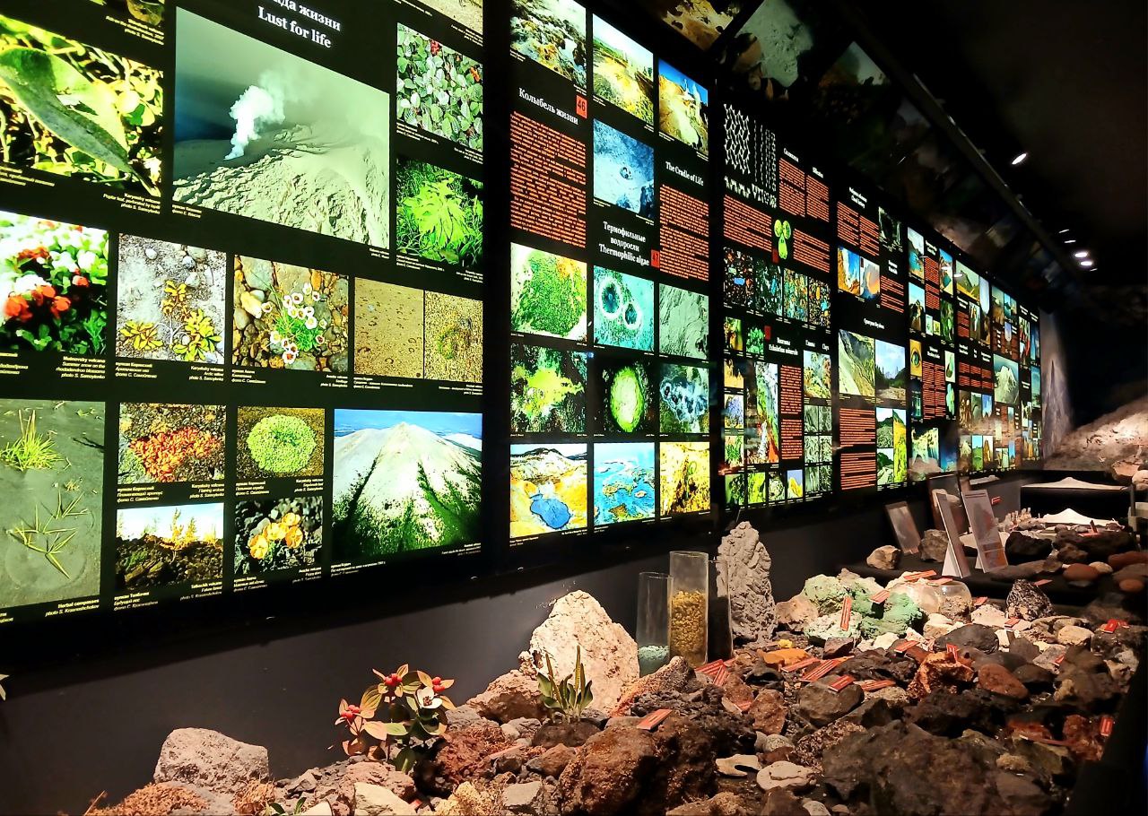 Не теряемся!