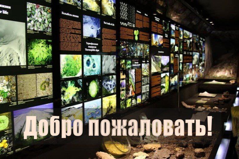 Друзья, рады сообщить, что с 15 февраля музей работает по своему расписанию: